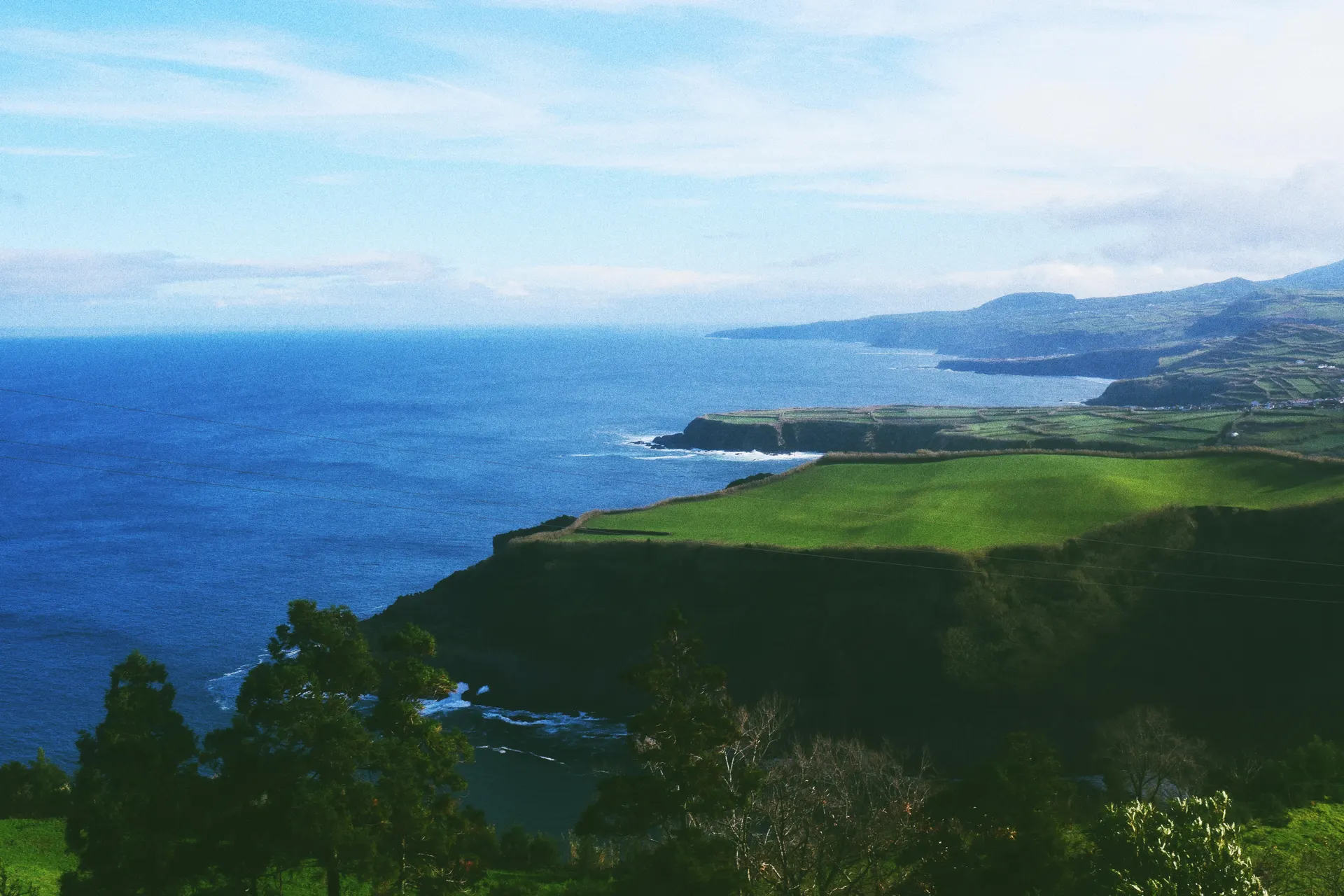 Costa verde dos Açores junto a campos de chá